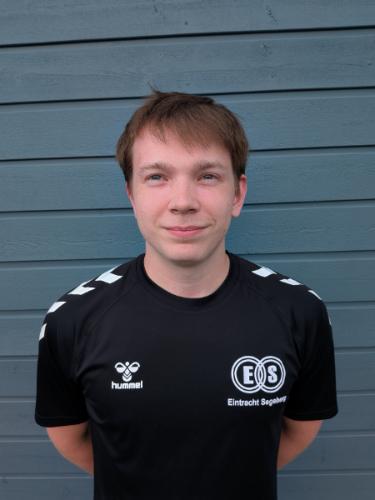 Henri Kristian Herdel