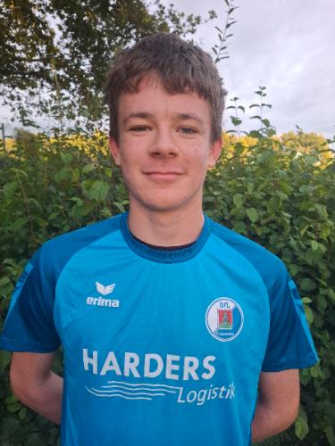 Henri Torsten Heckmann