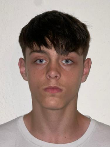 Alen Hajdarevic