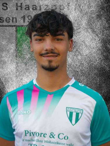 Leon Zamljen