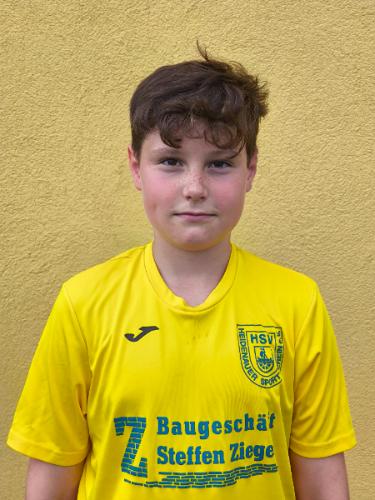 Laurens Hennes Heimann