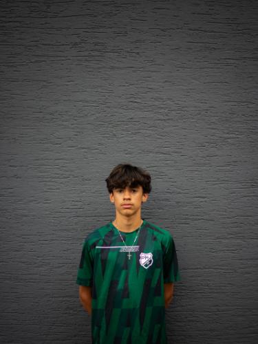 Renato Vicente Correia Hoga