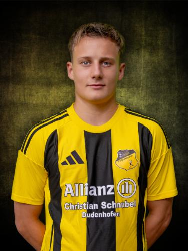Luca Henrich