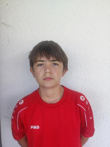 Davud Brajlovic