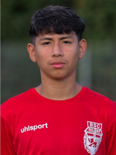 Diego Antonio Harbauer Brena