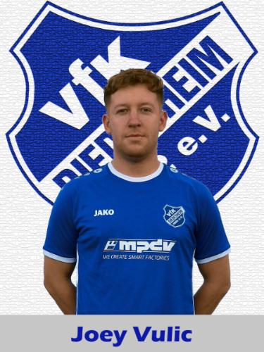 Joey Vulic