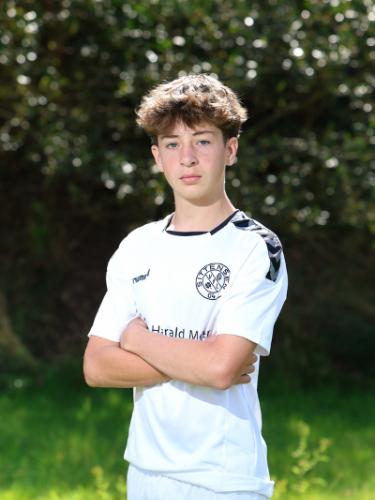 Niklas Manfred Schubert