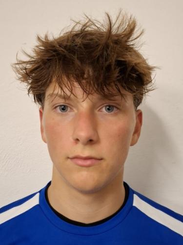 Theo Klingenburg