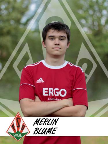 Merlin Blume