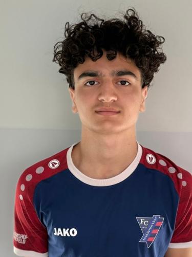 Mohammad Faour