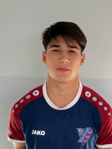 Miha-Alexandru Lica