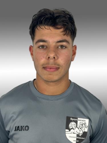 Michael Aygül