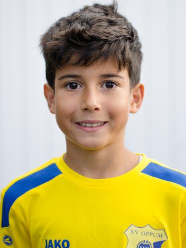 Mirza Ali Ileri