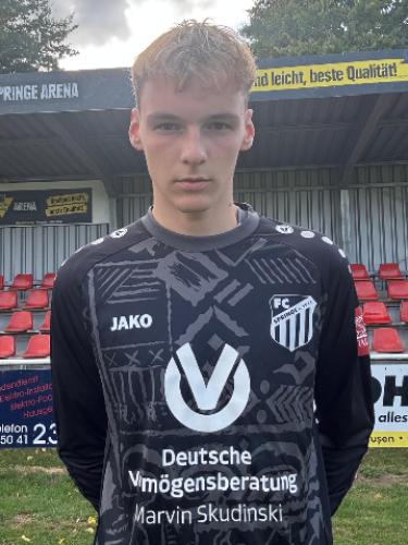 Theo Vincent Niemeier