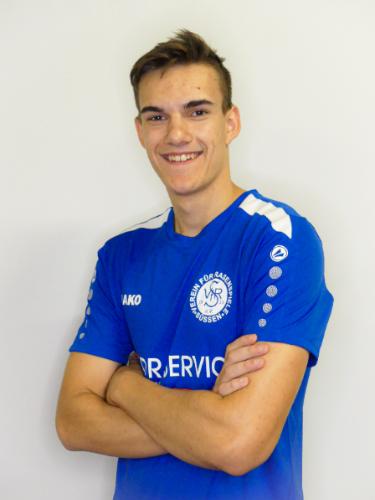 Tobias Heinzmann