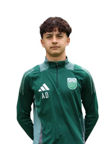 Altan Damar