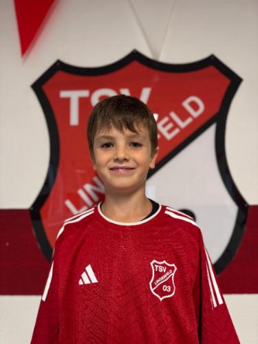 Henri Johann Thönnes