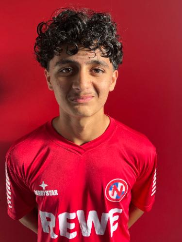 Mohammad Hamza Hosseini