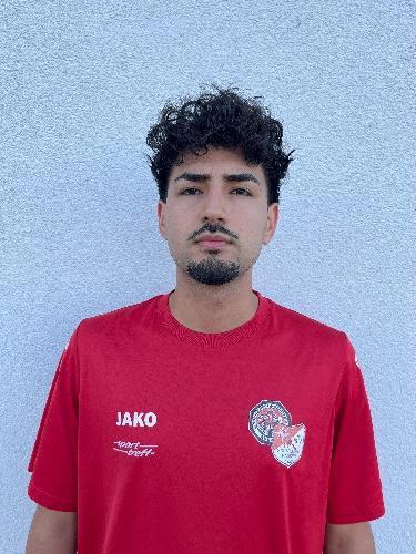 Sayed Amir Hossaini