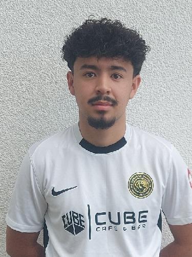 Mehdi Hussani