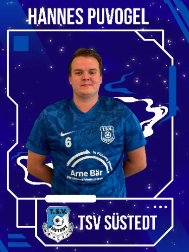 Hannes Puvogel