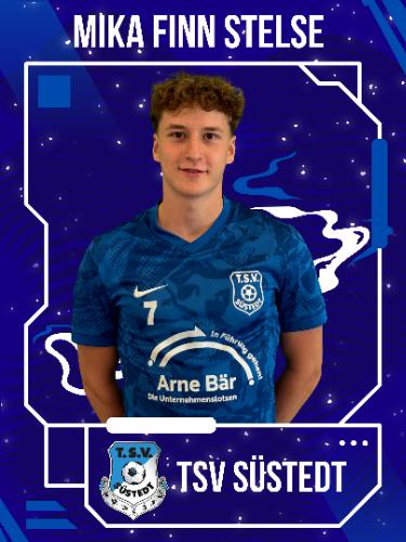Mika Finn Stelse