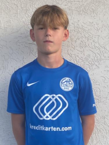 Hugo Maximilian Scheibner