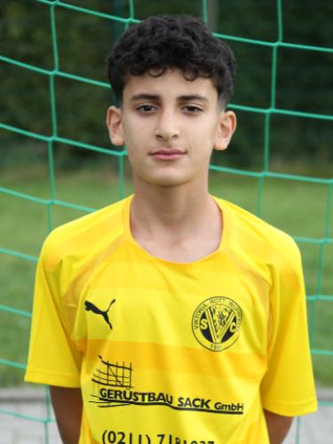 Mohammad Aluoaid