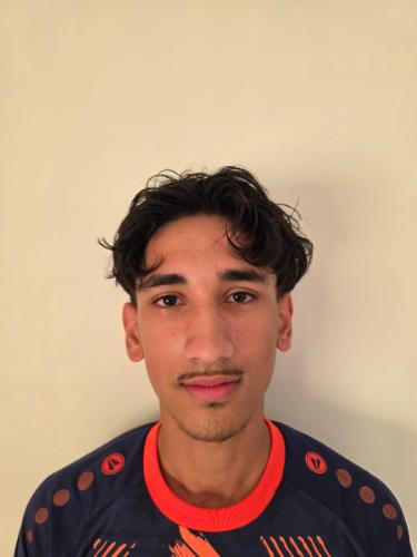 Mohamad Ali Alou