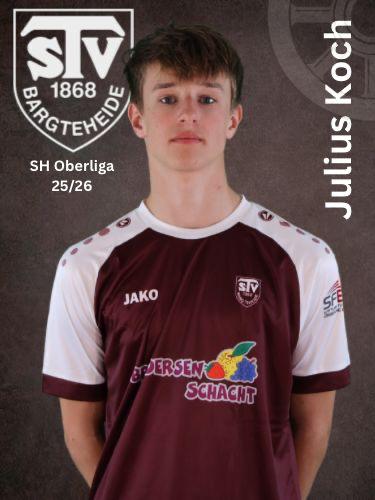 Julius Valentin Koch