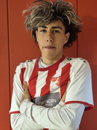 Ramon Andres Andrade Soto