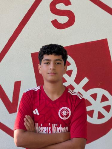 Abdel Karim Elshawwa