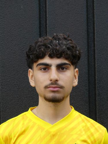 Alik Shamoyan