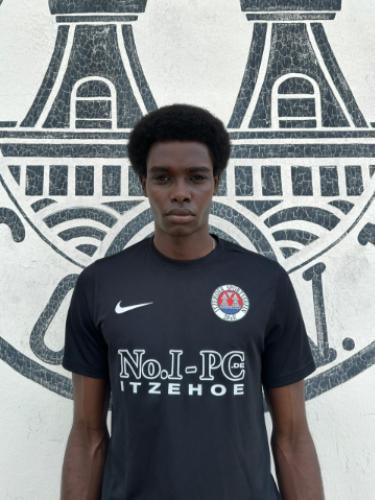 Ayman Salah Hassan Mohamed Fadleimola