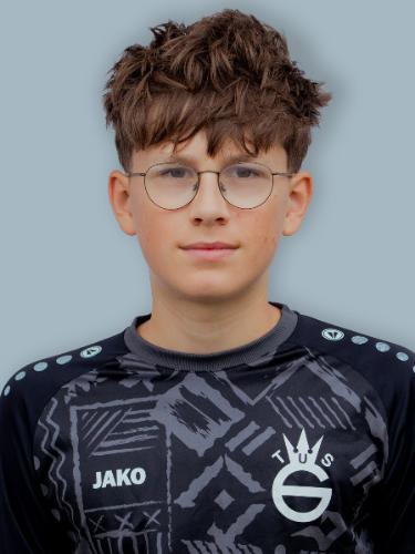 Antoni Milan Stojsin