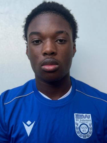 Raymond Etinosa Odigie-Phillip