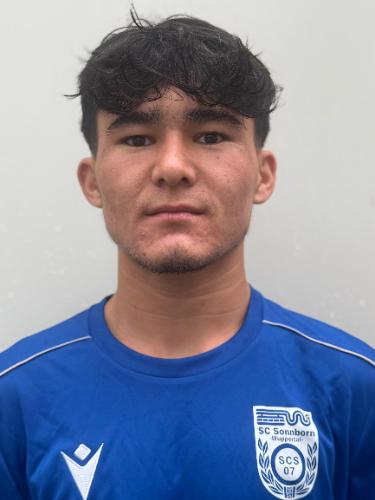 Mohammad Hussain Shafai