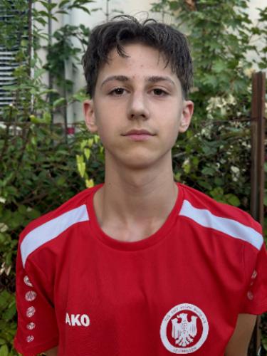 Luka David Guzic