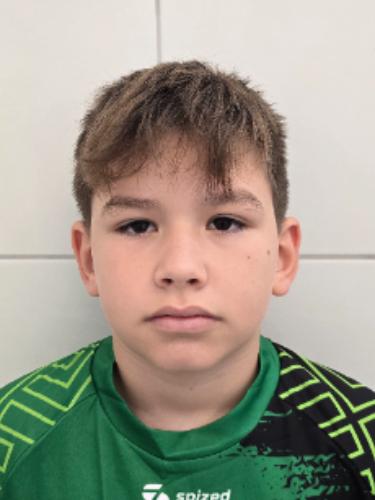 Alexandru Vatavu