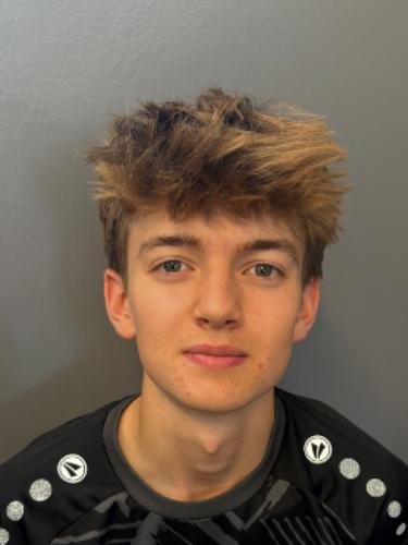 Theodor Gert Fritz Bruns