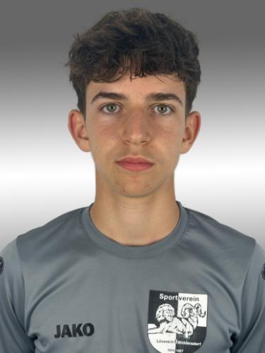 Daniel Aigner
