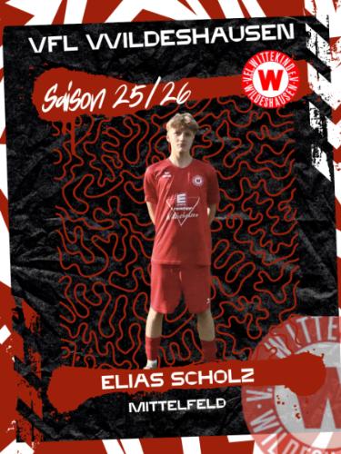 Elias Scholz