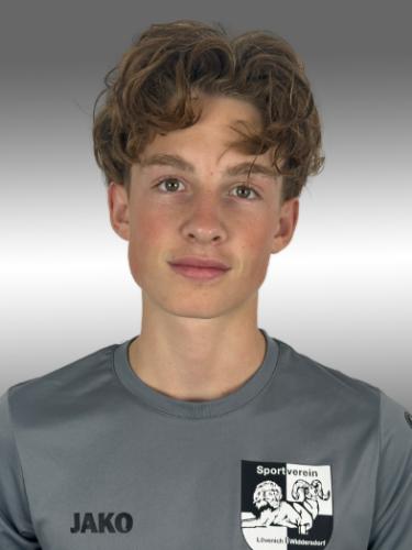 Louis Henri Hupperich