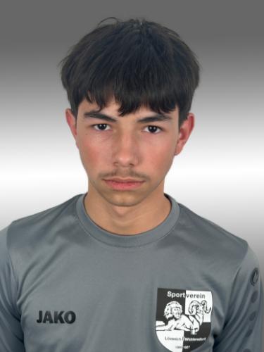 Henrique Reveilleau Pasquali