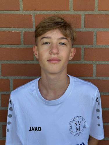 Miron Ilja Leiker