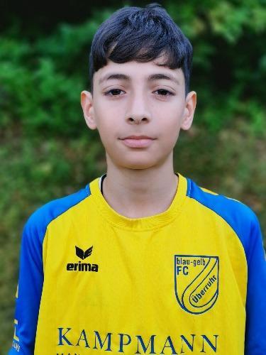 Mohammad Ehsan Rajabi