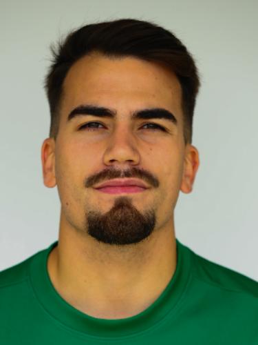 Robin Raaphael Heist