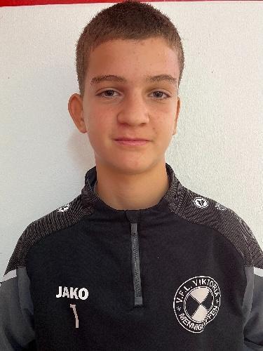 Matija Sarcevic