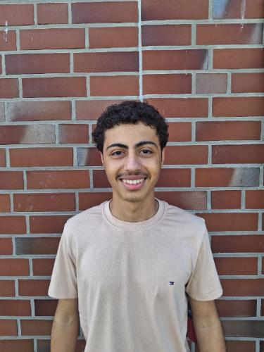 Mohamed Samara