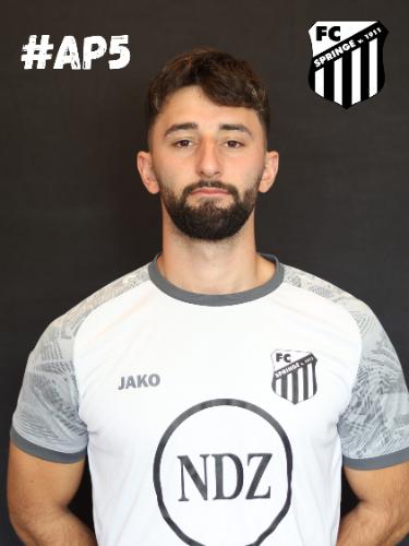 Aldin Pepeljak